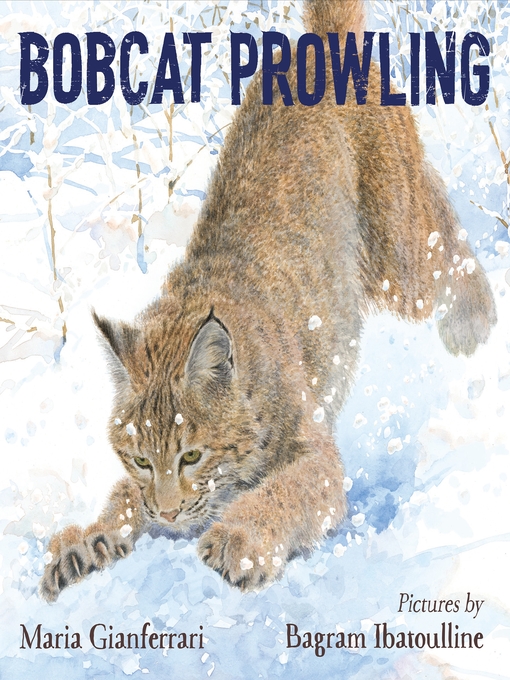 Title details for Bobcat Prowling by Maria Gianferrari - Wait list